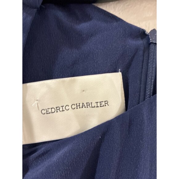 Cedric Charlier 100% Silk Layered Sleeveless Shift Dress navy blue size 6 - Picture 4 of 7